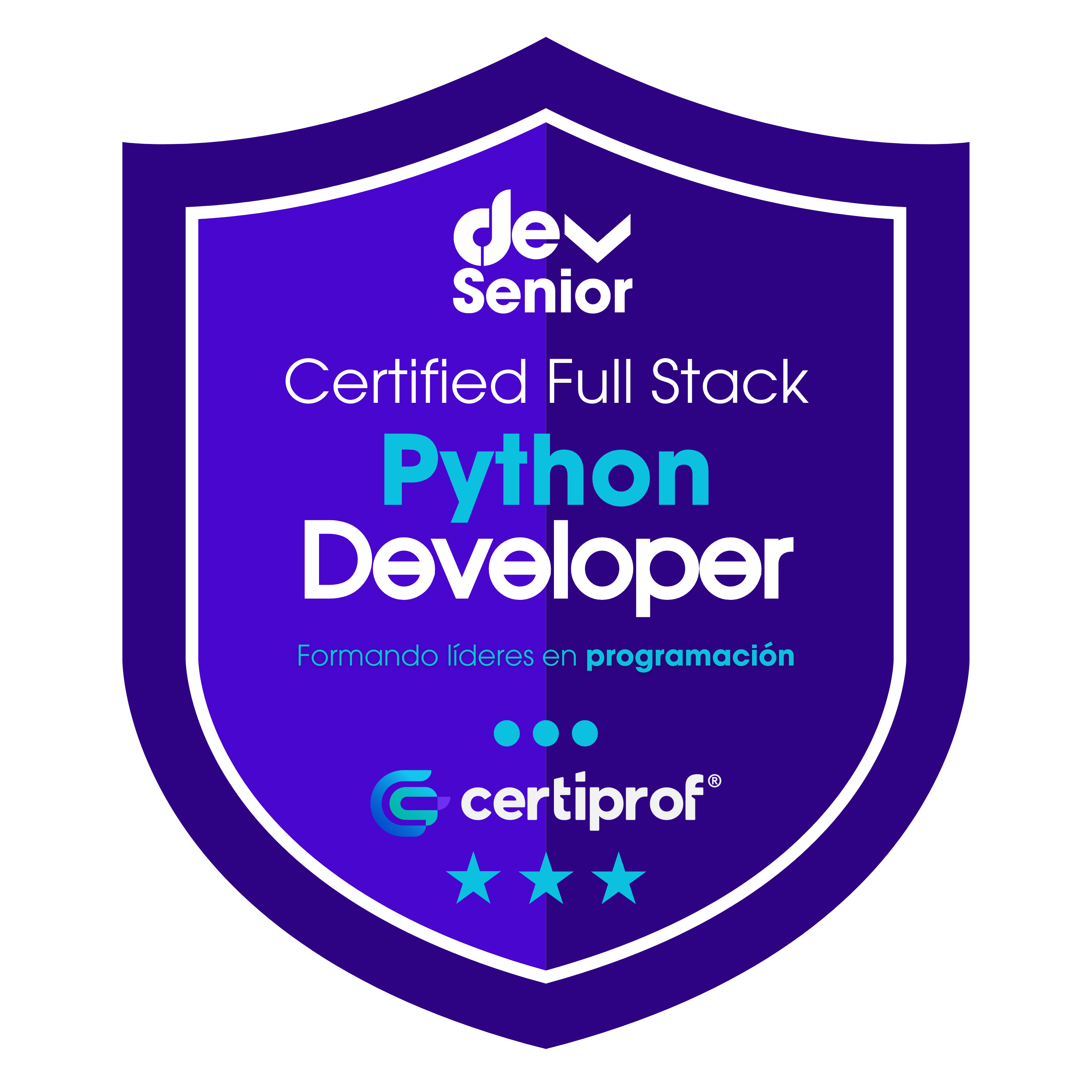 Insignia Python Full Stack Developer